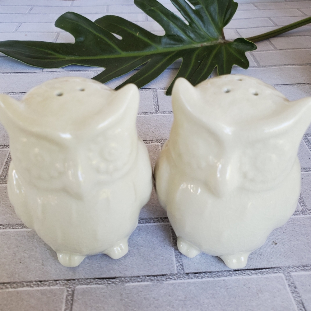 Owl By Threshold Salt & Pepper Shakers Set